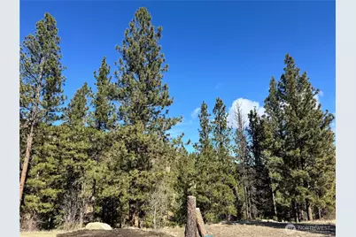 79 Bench Creek Road, Tonasket, WA 98855 - Photo 19