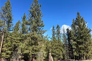 79 Bench Creek Rd, Tonasket, WA 98855 - Photo 19