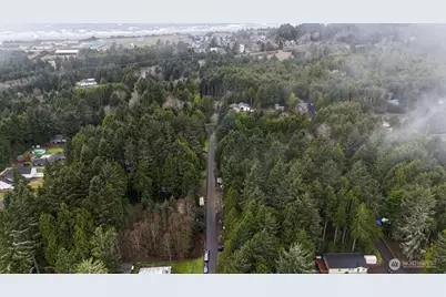 41 Moonrise Lane, Pacific Beach, WA 98571 - Photo 5