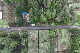 41 Moonrise Ln, Pacific Beach, WA 98571 - Photo 1