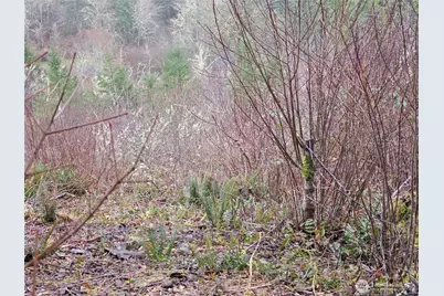 573 Clearwater Road, Kelso, WA 98626 - Photo 21