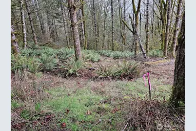 573 Clearwater Road, Kelso, WA 98626 - Photo 27