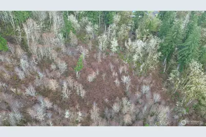 573 Clearwater Road, Kelso, WA 98626 - Photo 7