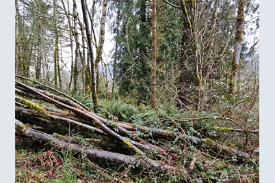 573 Clearwater Road, Kelso, WA 98626 - Photo 31