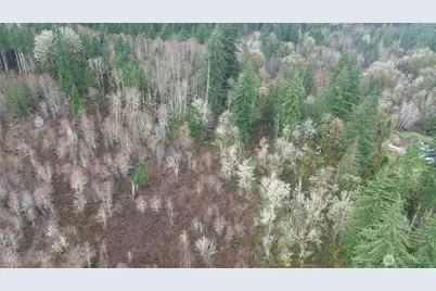 573 Clearwater Road, Kelso, WA 98626 - Photo 5