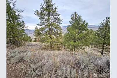 1 Tbd Badger Road, Tonasket, WA 98855 - Photo 7