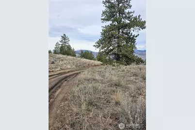 1 Tbd Badger Road, Tonasket, WA 98855 - Photo 11