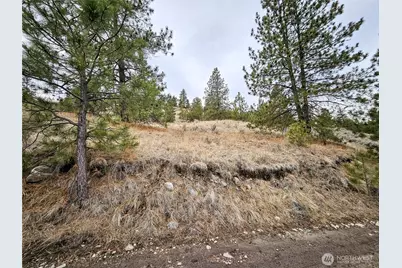 1 Tbd Badger Road, Tonasket, WA 98855 - Photo 5