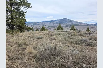 1 Tbd Badger Road, Tonasket, WA 98855 - Photo 1