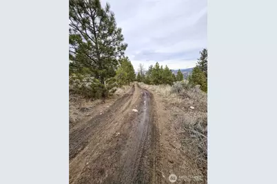 1 Tbd Badger Road, Tonasket, WA 98855 - Photo 9