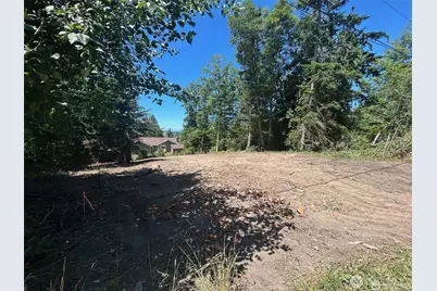 0 Lot 55 Nimitz Drive, Coupeville, WA 98239 - Photo 5