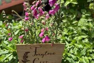 5244 Deer Harbor Rd, Orcas Island, WA 98245 - Photo 37