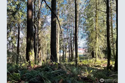 9999 S Sequim Ave Parcel B, Sequim, WA 98382 - Photo 11
