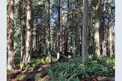 9999 S Sequim Ave Parcel B, Sequim, WA 98382 - Photo 15