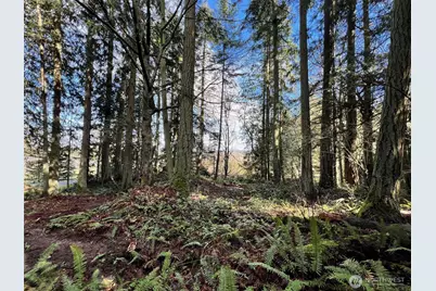 9999 S Sequim Ave Parcel C, Sequim, WA 98382 - Photo 7