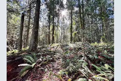 9999 S Sequim Ave Parcel C, Sequim, WA 98382 - Photo 11