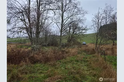 754 Cousins Road, Chehalis, WA 98532 - Photo 19