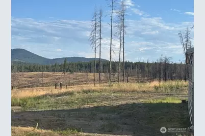 18 Risingson Drive, Tonasket, WA 98855 - Photo 33