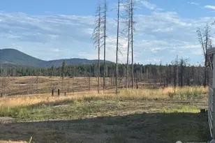 18 Risingson Dr, Tonasket, WA 98855 - Photo 33