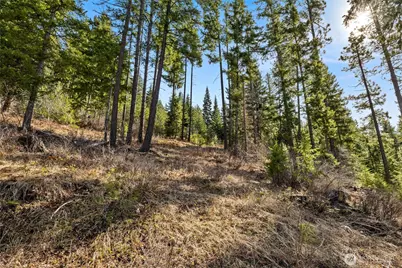 0 Lot 9 Night Sky Drive, Ronald, WA 98940 - Photo 9