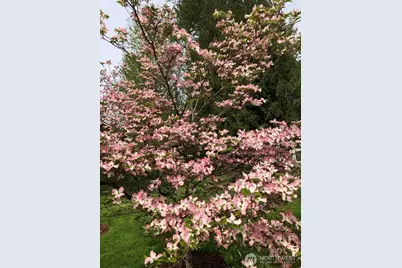 13217 145th Avenue Ct E, Orting, WA 98360 - Photo 37