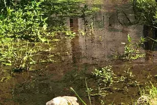 13217 145th Ave Ct E, Orting, WA 98360 - Photo 33