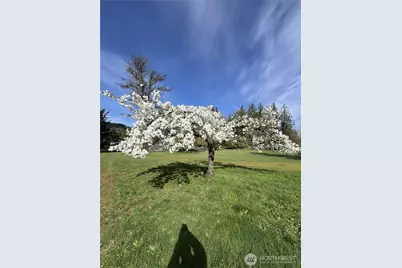 13217 145th Avenue Ct E, Orting, WA 98360 - Photo 39