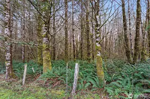 210 W Wishkah Rd, Aberdeen, WA 98520 - Photo 35