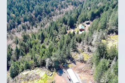 59 X Moose Mountain Road, Brinnon, WA 98320 - Photo 11