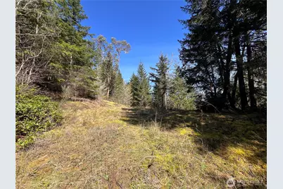 59 X Moose Mountain Road, Brinnon, WA 98320 - Photo 19