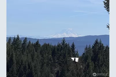 59 X Moose Mountain Road, Brinnon, WA 98320 - Photo 23