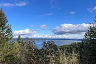 59 X Moose Mountain Rd, Brinnon, WA 98320 - Photo 1