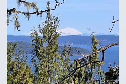 59 X Moose Mountain Road, Brinnon, WA 98320 - Photo 13