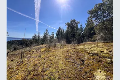 59 X Moose Mountain Road, Brinnon, WA 98320 - Photo 21