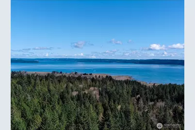 59 X Moose Mountain Road, Brinnon, WA 98320 - Photo 13