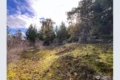 59 X Moose Mountain Road, Brinnon, WA 98320 - Photo 3