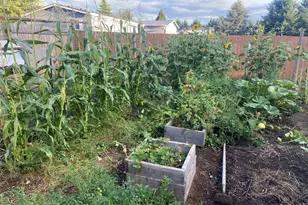 108 Hilley Dr, Chehalis, WA 98532 - Photo 29