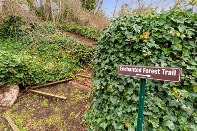 8366 6th Avenue, Tacoma, WA 98465 - Photo 39