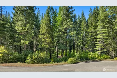 131 Goat Creek Lane, Cle Elum, WA 98922 - Photo 3