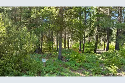 131 Goat Creek Lane, Cle Elum, WA 98922 - Photo 5