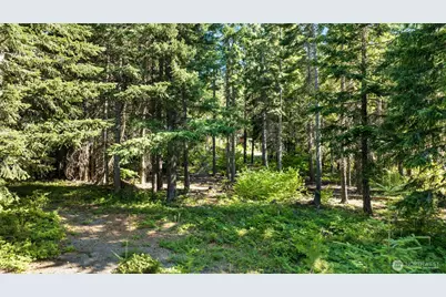131 Goat Creek Lane, Cle Elum, WA 98922 - Photo 17