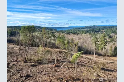 4319 183rd Avenue Ct SW, Longbranch, WA 98351 - Photo 29