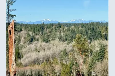 4319 183rd Avenue Ct SW, Longbranch, WA 98351 - Photo 11