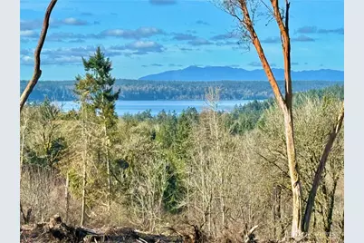 4319 183rd Avenue Ct SW, Longbranch, WA 98351 - Photo 3