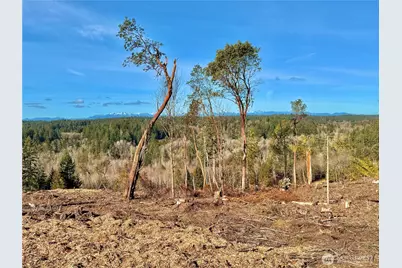 4319 183rd Avenue Ct SW, Longbranch, WA 98351 - Photo 31