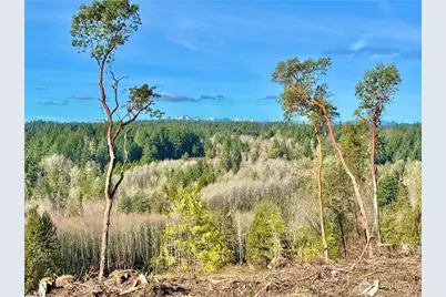 4324 183rd Avenue Ct SW, Longbranch, WA 98351 - Photo 29