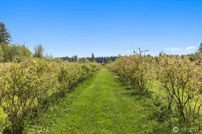 5628 Grandview Road, Arlington, WA 98223 - Photo 21