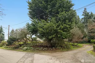 10238 7th Ave SW, Seattle, WA 98146 - Photo 35