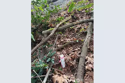 17680 Hallman Road NW, Poulsbo, WA 98370 - Photo 15