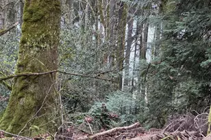 17680 Hallman Rd NW, Poulsbo, WA 98370 - Photo 1